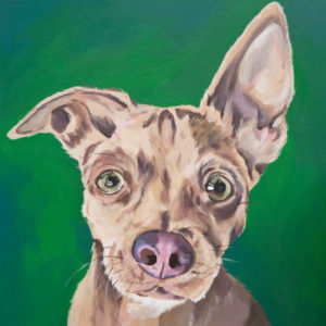 A dog portrait by Mary Butler