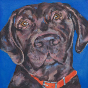 A dog portrait by Mary Butler