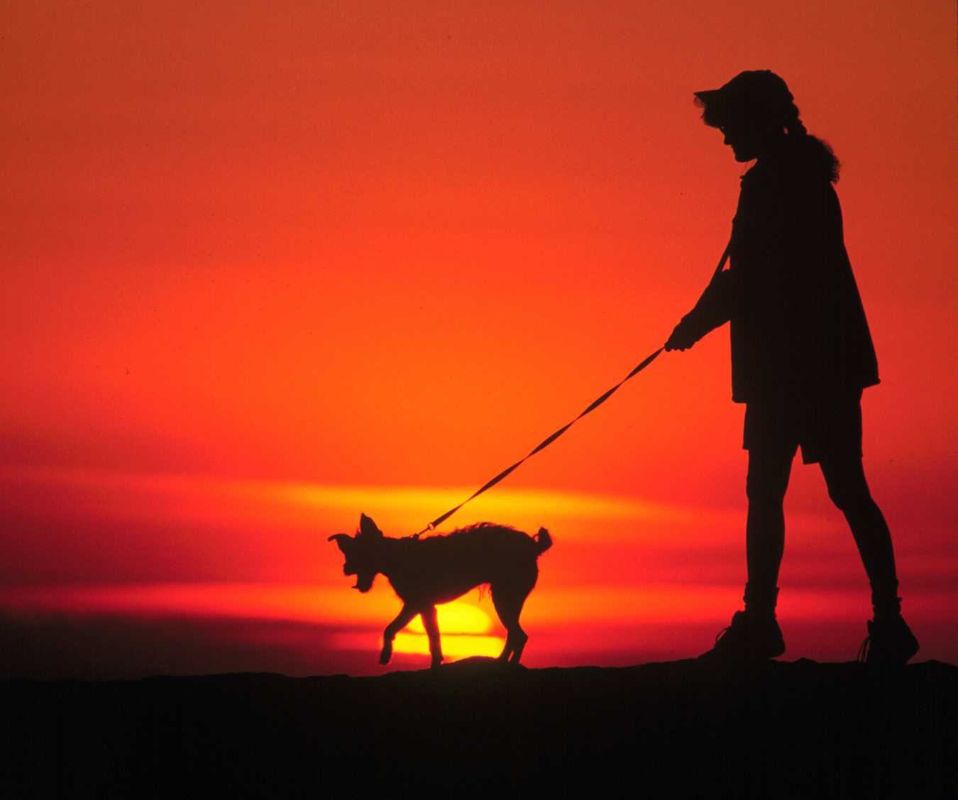 A woman walks her dog along a trail in the Boise Foothills.